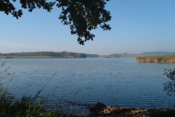 Tálínský rybník (© Jiří Špaček, 10/2006)
