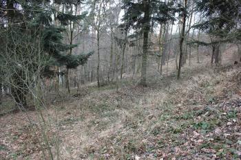  ( © Luděk Vláčil 02/2017)