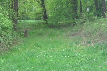 1.val a příkop předhradí od východu (© Jaroslav Špiroch 05/2020)