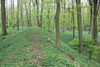 Velmi výrazný val a příkop na severovýchodní straně hradiště. (© Luděk Vláčil 04/2017)