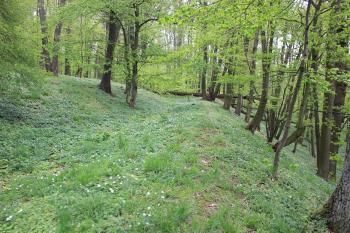 Opevnění z jižní strany. (© Luděk Vláčil 04/2017)