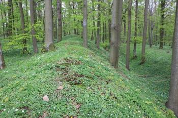 Velmi výrazný val a příkop na severovýchodní straně hradiště. (© Luděk Vláčil 04/2017)