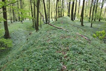 Výrazný val a příkop na severovýchodní straně hradiště. (© Luděk Vláčil 04/2017)