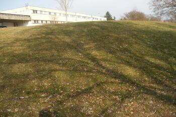 Čimice - tvrziště (© Jiří Špaček, 03/2017)