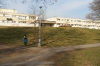Čimice