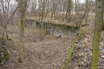  ( © Iva Spurná 03/2007)