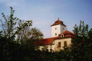  (© Iva Synková 03/2004)