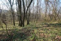Týn nad Bečvou