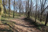 Týn nad Bečvou
