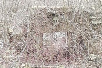 Kaple Vědlice (© Josef Wenzl, 03/2016)