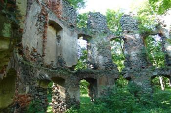 Uvnitř zříceniny (© Jiří Čížek, 07/2010)