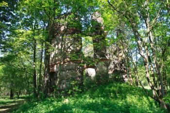 Zřícenina od východu ( © Stanislav Šůna 05/2011)