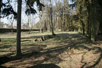 areál hřbitova (© Stanislav Drda 04/2017)