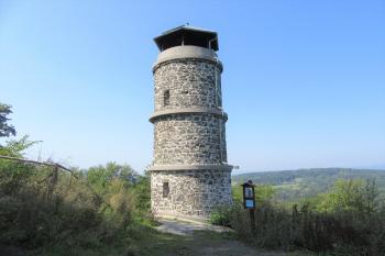Bučina (© B. Stejskalová 08/2019)