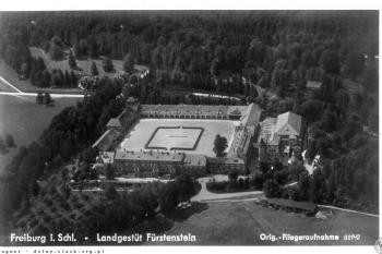 hřebčín v l. kolem r. 1940 ( © https://dolny-slask.org.pl)