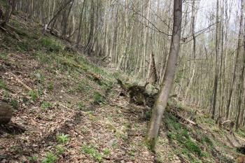 Jižní svah (© Luděk Vláčil 04/2017)