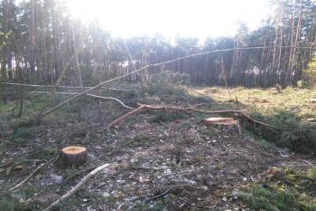Severní, méně patrná část valu. (© Prudký Martin, 04/2017)