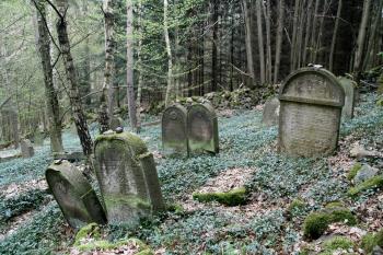  (© Stanislav Drda 04/2017)