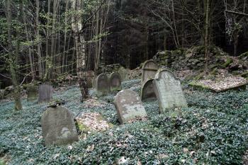  (© Stanislav Drda 04/2017)
