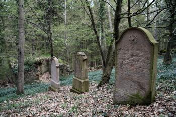  (© Stanislav Drda 04/2017)