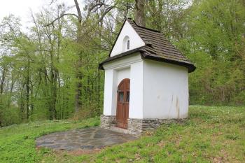  ( © Luděk Vláčil 04/2017)