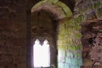  (© Pavel Semple, 06/2016)