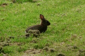  (© Pavel Semple, 06/2016)