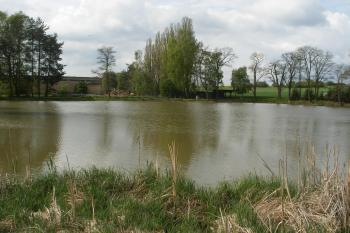 Kyšice - rybník Parkán (© Jiří Špaček, 05/2017)