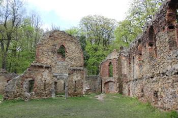 Starý Książ (dříve Alt Fürstenstein) (© Luděk Vláčil 05/2017)