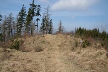 Pohled na tvrziště ( © Petr Nožička 03/2011)