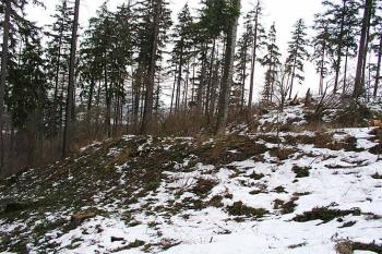 Val na jihu ( © Roman Řezáč 01/2004)
