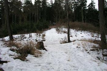 Přístupová cesta ( © Roman Řezáč 01/2004)