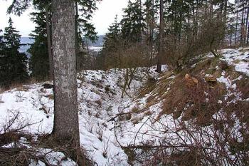 Příkop ( © Roman Řezáč 01/2004)