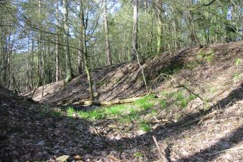 Čelní záp. příkop mezi hradem /vlevo/ a předhradím /vpravo/ (© D Dohňanský, 04/2016)