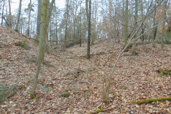 Čelní záp. příkop mezi hradem /vlevo/ a předhradím /vpravo/ (© Dušan Dohňanský  01/2022)