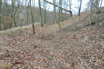 Mělký vých. příkop /od severu/ (© Dušan Dohňanský  01/2022)