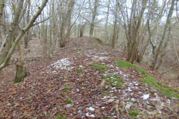 Vnější val u šíjového příkopu /ten je vpravo,vlevo je předpolí hradu/ (© Dušan Dohňanský  01/2022)