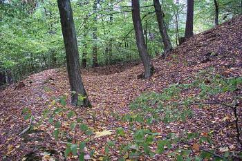 Příkop ( © Roman Řezáč 10/2003)