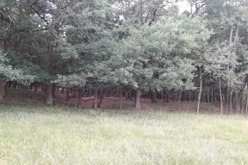 Příkop rozdělující objekt na dvě poloviny. (© Prudký Martin, 07/2017)