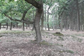  (© Prudký Martin, 07/2017)