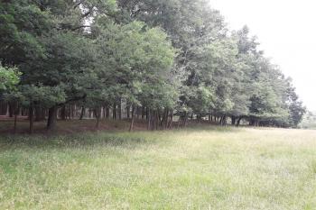 Východní část valů. (© Prudký Martin, 07/2017)