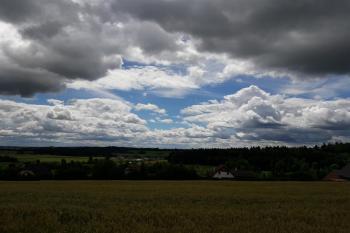Lokalita je uprostřed fotografie v lese, pohle od severu ze silnice. (© Prudký Martin, 07/2017)