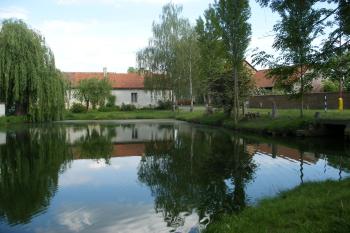 Brázdim (Veliký) - rybník pod tvrzí (© Jiří Špaček, 05/2017)