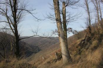  (© Luděk Vláčil, 19.1.2014)