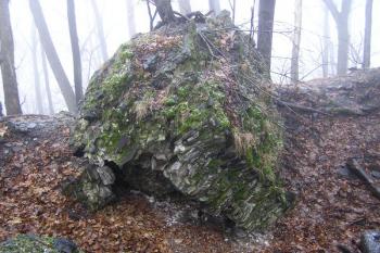 odmrštěný kus zdiva bývalé válcové věže ( © Jan P. Štěpánek 01/2008)