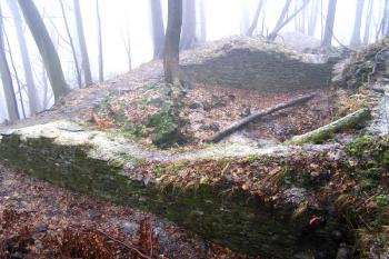 jižní ze dvou přízemních místností tzv. nového paláce ( © Jan P. Štěpánek 01/2008)