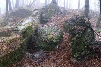 pohled na jádro hradu z míst válcové věže v severním čele hradu ( © Jan P. Štěpánek 01/2008)