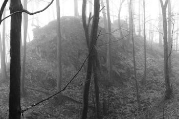 pohled na severní čelo hradu od severozápadu ( © Jan P. Štěpánek 01/2008)