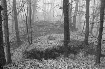 pohled z prostoru předsunutých opevnění k jihu, k jádru hradu  (zcela v pozadí na horizontu) ( © Jan P. Štěpánek 01/2008)