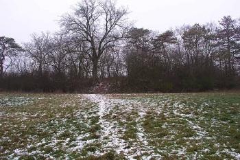 Předhradí ( © Roman Řezáč 12/2003)